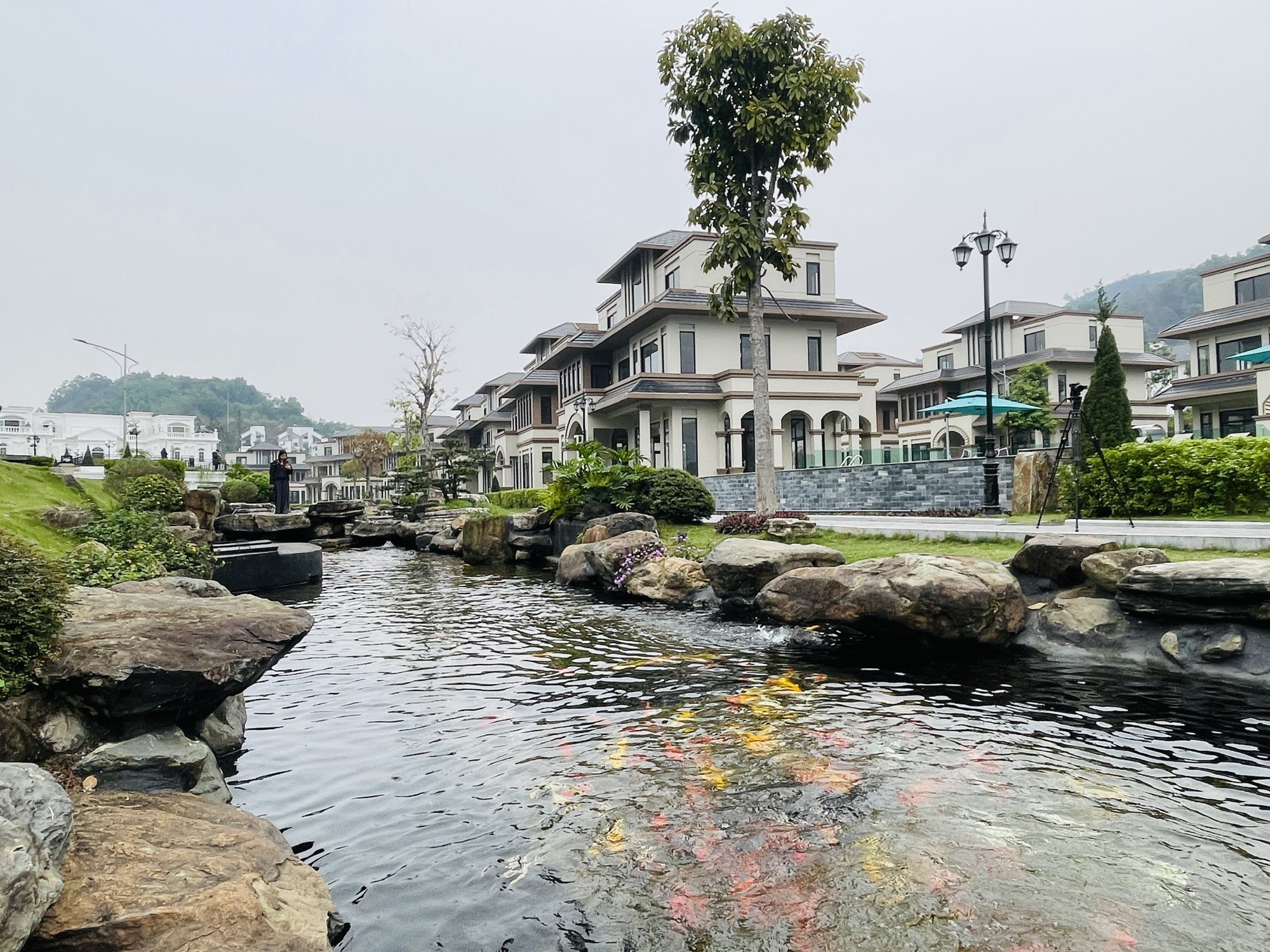 Wealth Kansen Valley 5